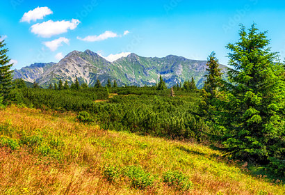 Fototapeta Západné Tatry 369224150